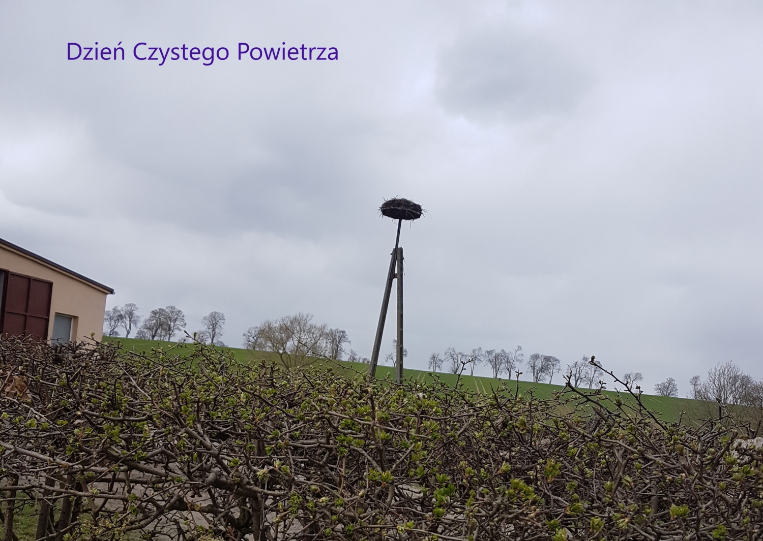 Dzień Czystego Powietrza